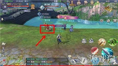 逃离变色龙森林